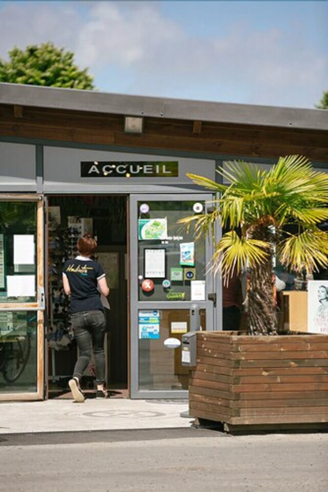 キャンピング ハリオティス