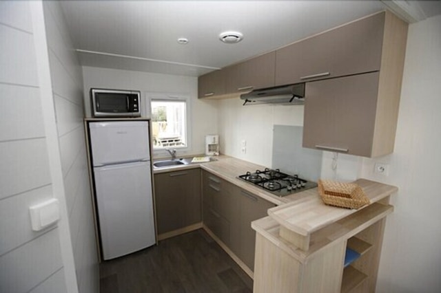 キャンピング ハリオティス