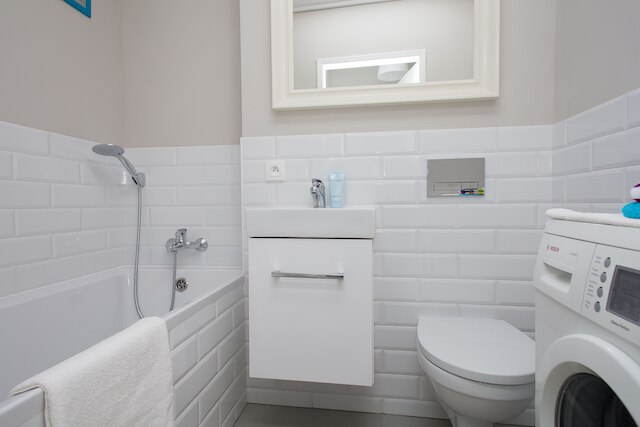 ターコイズ スタジオ ゼラズナ