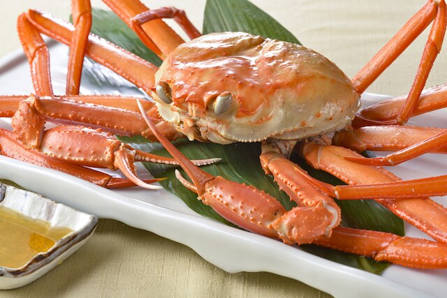 ザ グラン リゾート城崎