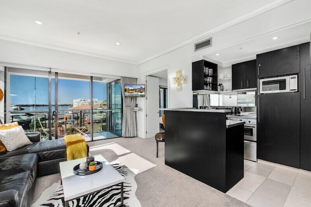 オークランド ヴィアダクト シック ウォーターフロント ビューズ