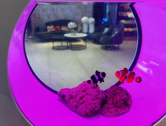 ホープ シティー ミンシェン ホテル (豪城商旅民生馆)