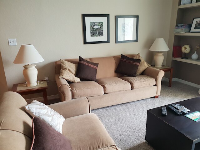 ディズニー エリア ラグジュアリー コンドミニアム