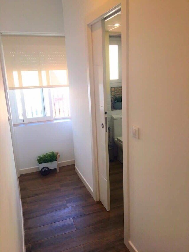 ヴァレンティーナ ホーム