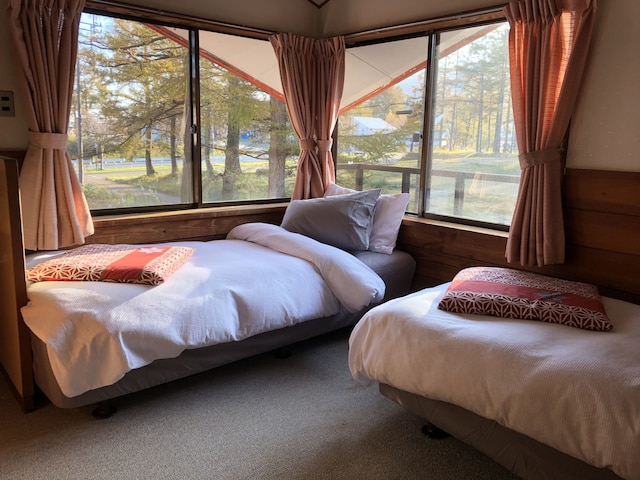 あるふぁロッジ斑尾