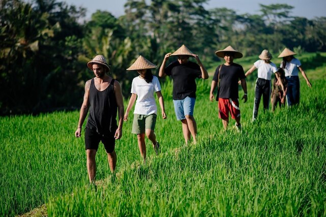 バクンガン ディジェロ ホームステイ