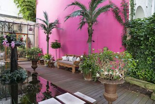 ヌマ ベルリン ベルフォート