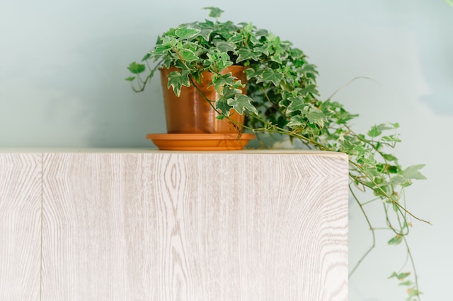 フリア マーケット スタジオズ