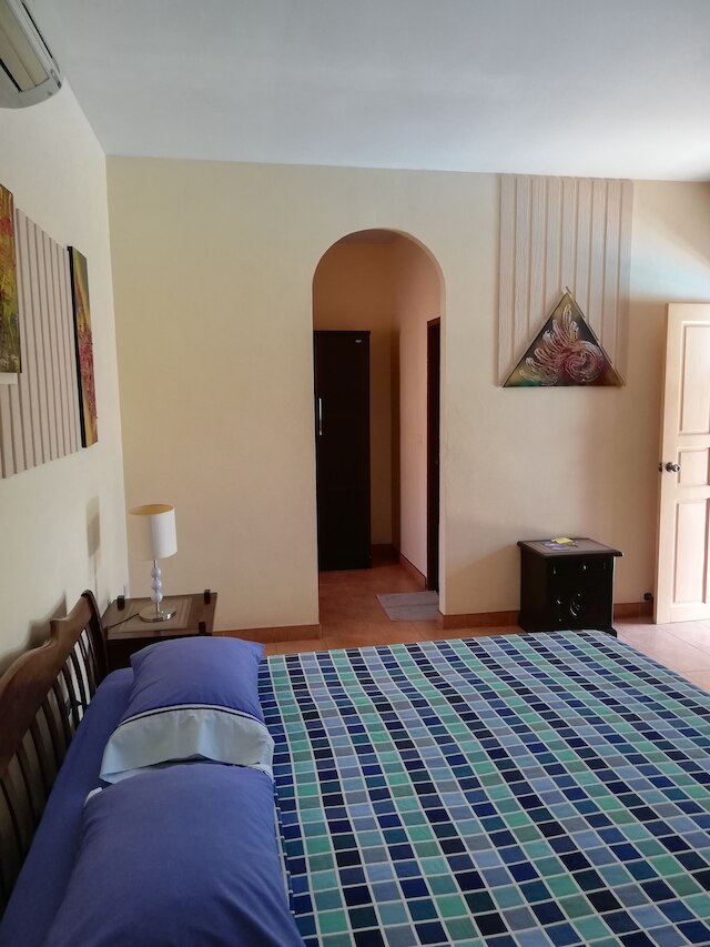 ロノプス パラダイス