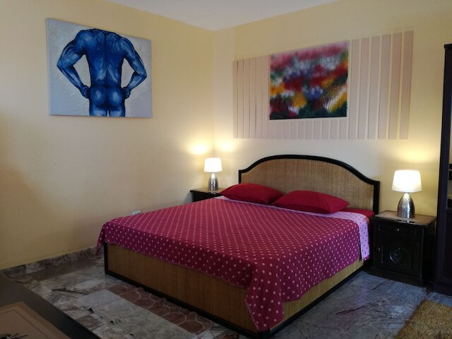 ロノプス パラダイス