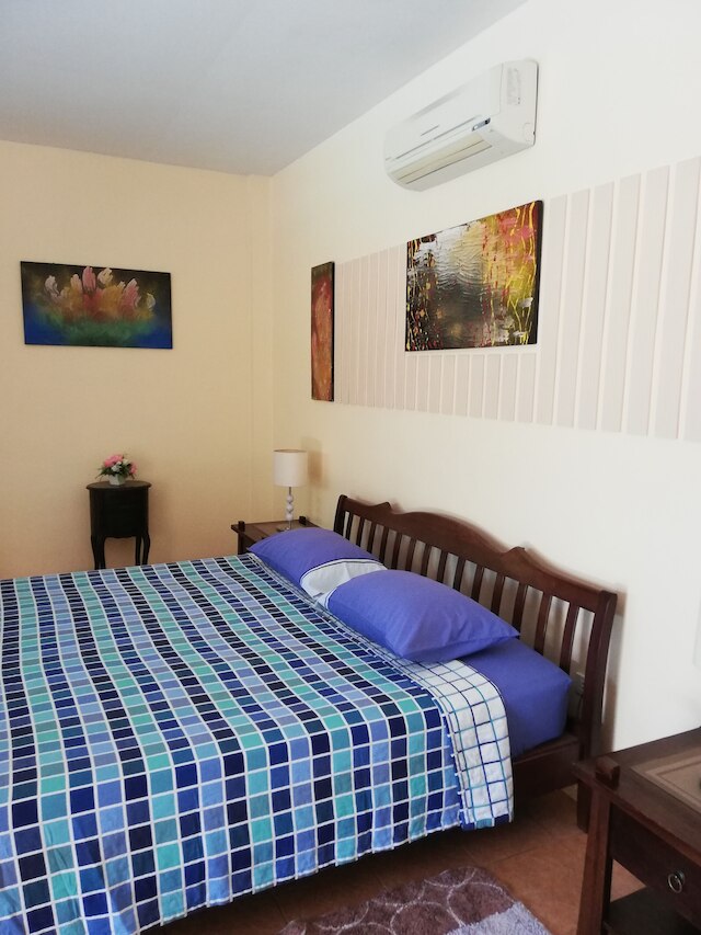 ロノプス パラダイス