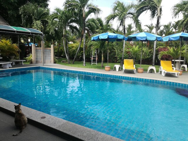 ロノプス パラダイス