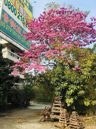 ルーラル エリア ホテル