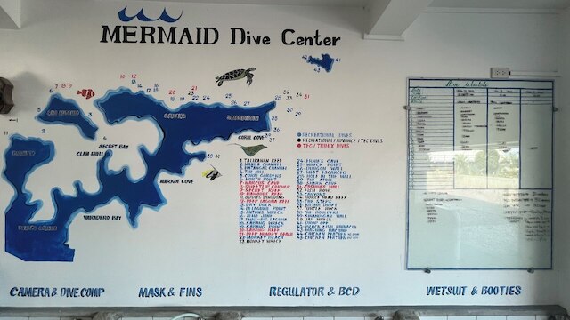 マーメイド ダイバー