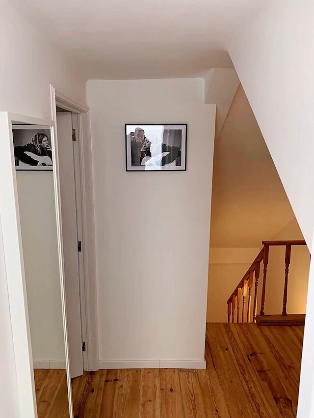 トラム & ファド メモリー ハウス