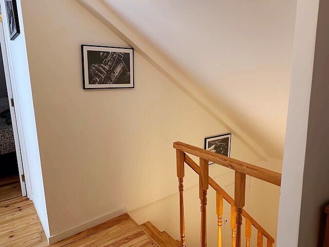 トラム & ファド メモリー ハウス