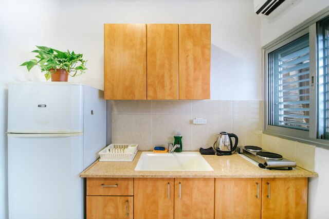 ピンスカー セント スタジオズ