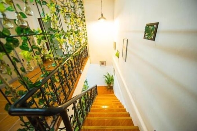 ラオ ラオ カフェ アンド ホステル