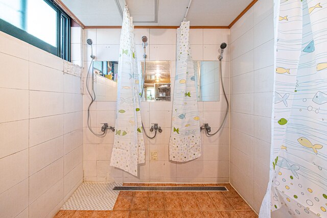 ドリーム シングル ハウス