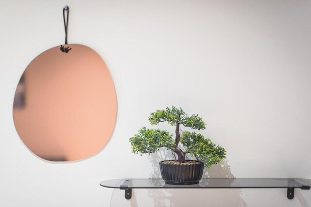 フィリア プレイス