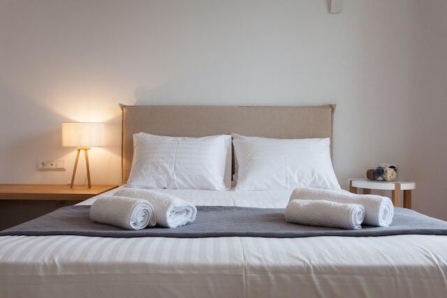 ナコス ホームズ ラグジュアリー アパートメント アクロポリス エリア