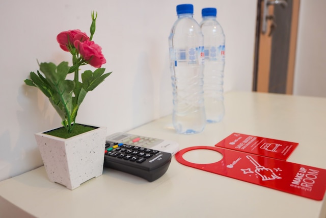 レッドドアーズ ニア プラザ アラヤ 2