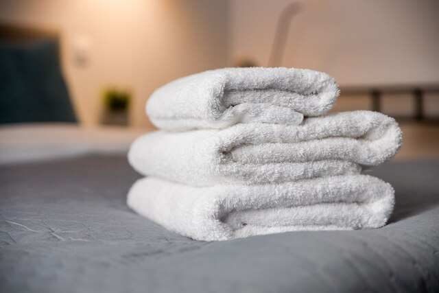 ジェロゾリムスキー セントラル ビュー アパートメント