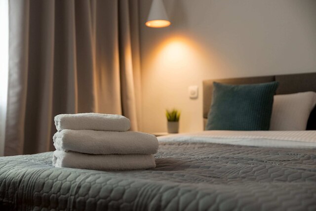 ジェロゾリムスキー セントラル ビュー アパートメント