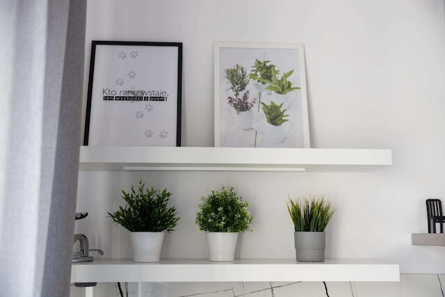 ジェロゾリムスキー セントラル ビュー アパートメント