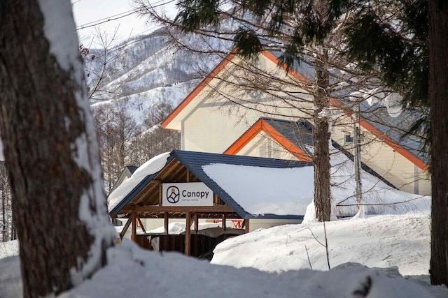 Canopy Cortina Lodge