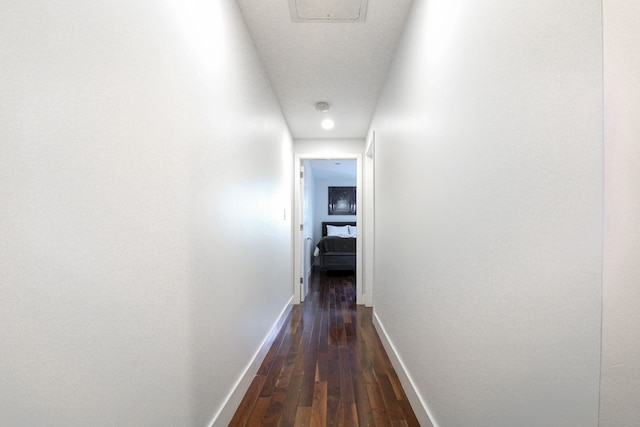 エヴォニファイ - バック ベイ スイーツ