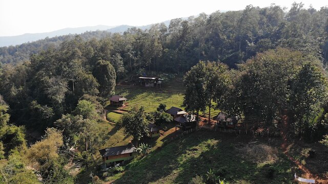 チェン マイ エレファント フレンズ