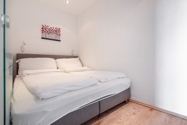 ニュー セントラル アンド コージー アパートメント