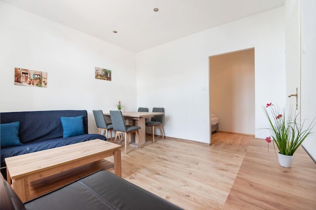 ニュー セントラル アンド コージー アパートメント