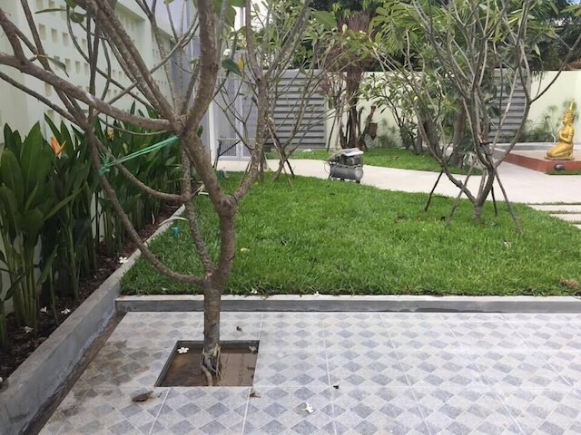 ムーンライト イン ブティック