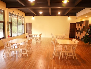 パープルドラゴン スター スカイ