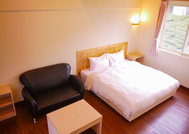 パープルドラゴン スター スカイ