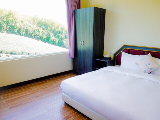 パープルドラゴン スター スカイ