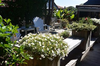 テリー アンド シンディーズ B&B