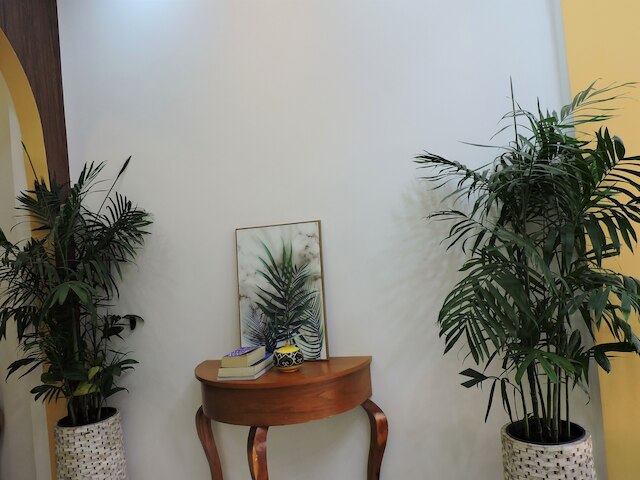 シェ ミモザ ローカル ホームステイ