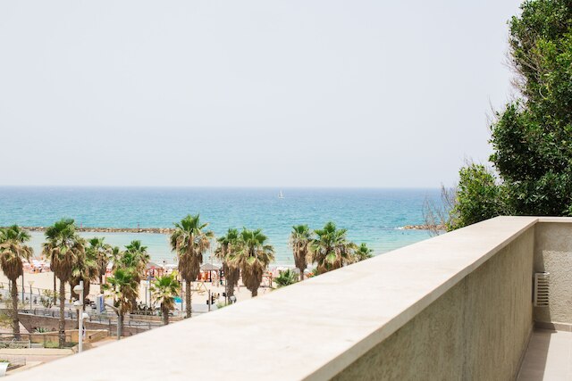 バグラショブ 3