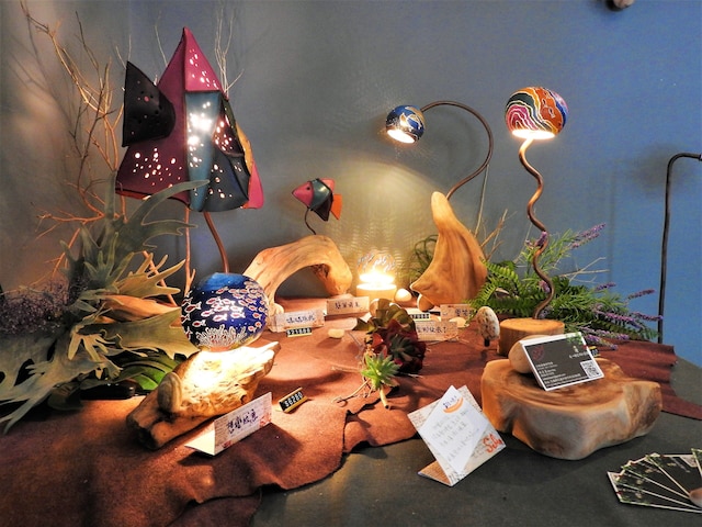 ブルー オウル ホームステイ