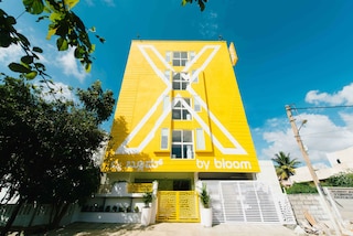 X バイ ブルーム - ヘッバル