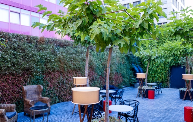 ブラウン ボボ, ブラウン ホテルズのメンバー