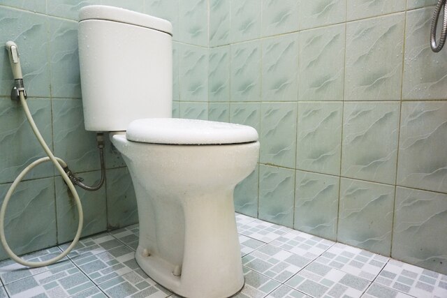 ホテル O ペカンバル ニア モール チプトラ セラヤ フォーマリー ロータス イン