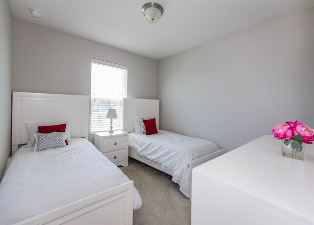 コンパス _ ベイ _5141