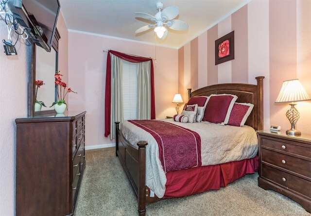 ウィンザー - パームス -102