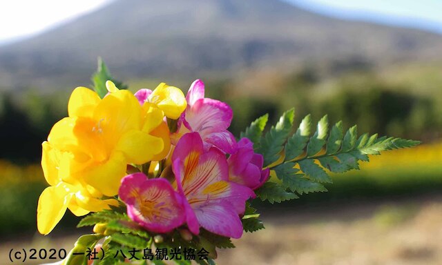 国民宿舎 サンマリーナ