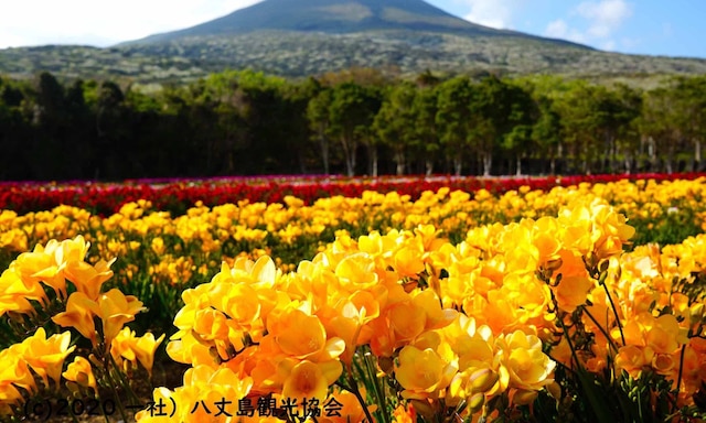国民宿舎 サンマリーナ