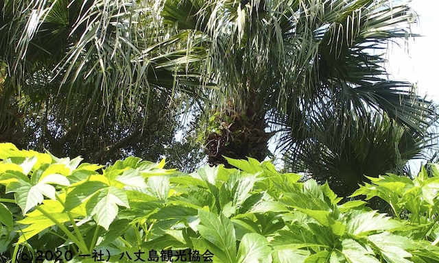 国民宿舎 サンマリーナ